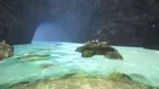 ZenoteVR screenshot 3