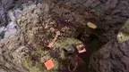 Coco Taggers screenshot 4