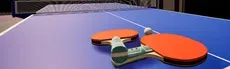 Table Tennis Star hero image
