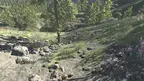 ZombieStarter screenshot 5