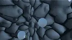 Shark taggers screenshot 1