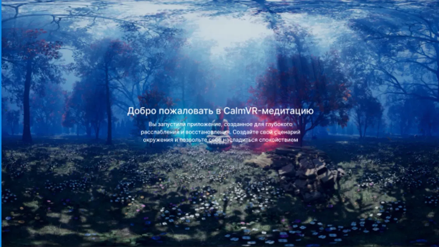 CalmVR cover image