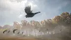 Animal Hunting Simulator: VR Sniper screenshot 1