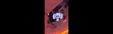Maccoons‎ hero image
