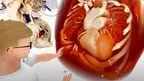 MEDICALHOLODECK® Surgery + Anatomy in VR screenshot 1
