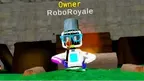 RoboRoyale screenshot 5