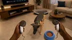 My MR Puppy screenshot 3