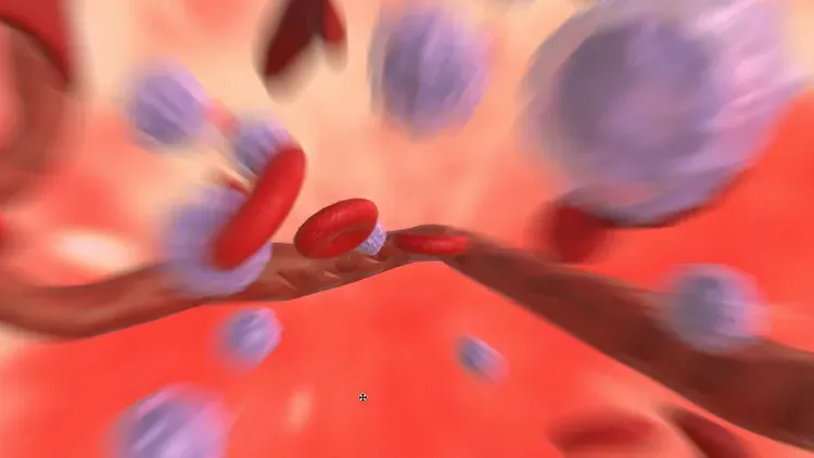 Developer update image for Zoom zoom ZOOM!