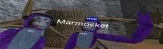 Marmosket hero image