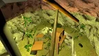 Crazy Gibbons screenshot 1