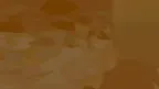 Nixon's Place screenshot 0