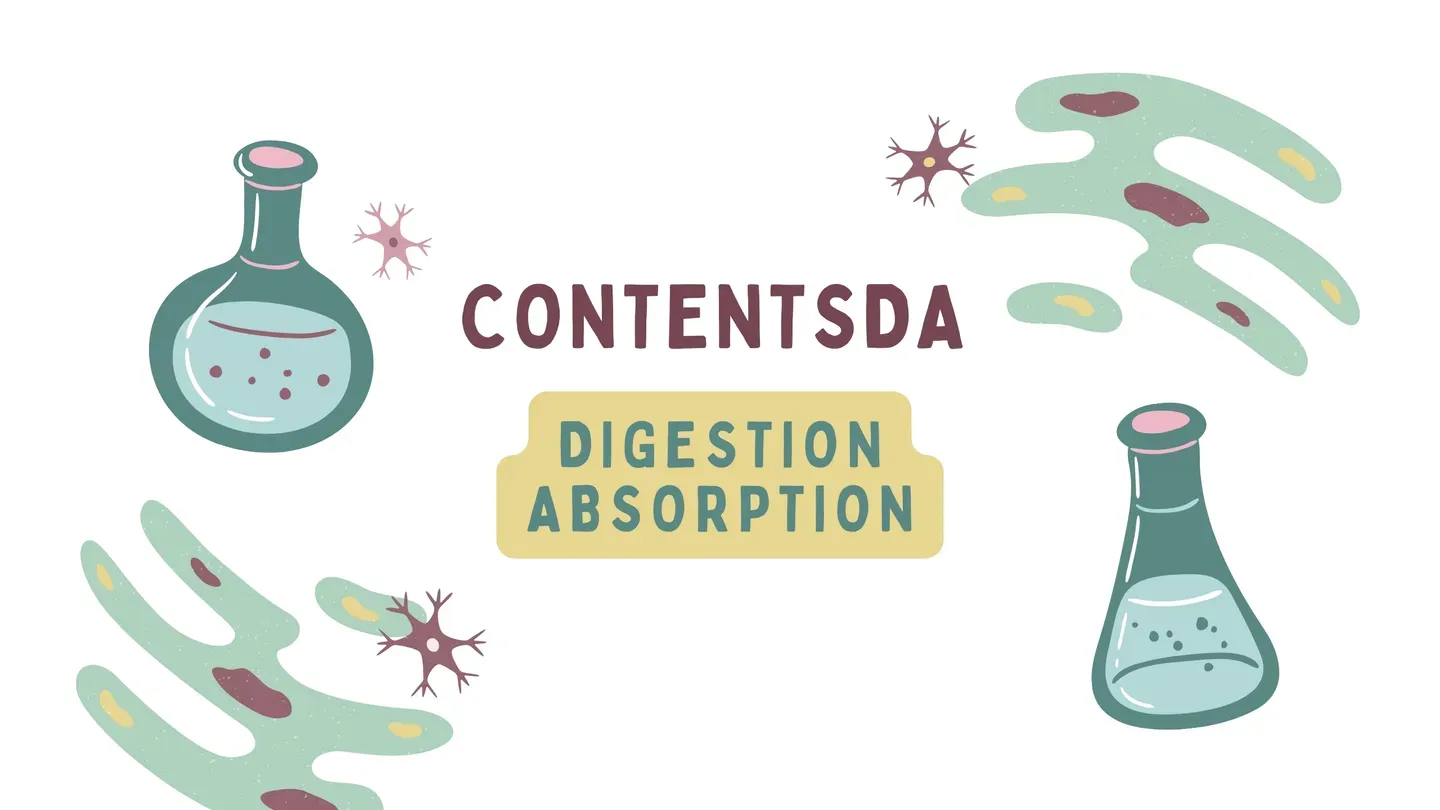 Digestion Absorption Experiment - ContentsDa Science Experiment trailer 0