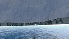 "ORCA"ward screenshot 1