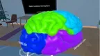 Human Brain Time screenshot 4