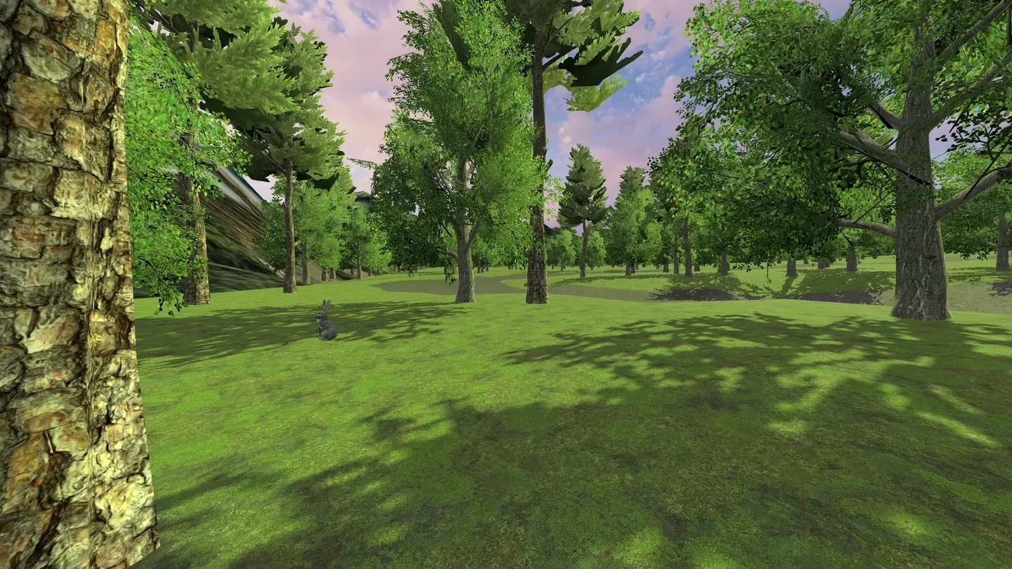 Muvia Walking cover image