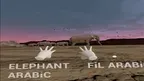 HOLY QURAN VR EXPERİENCE screenshot 5
