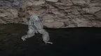 Stalking Gorilla screenshot 2