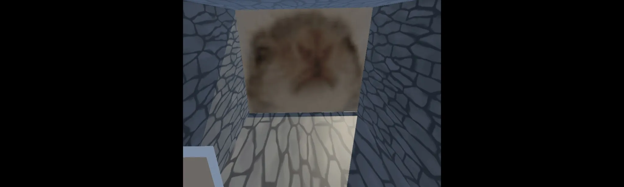 squirrel mayhem hero image