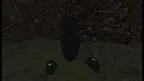 Starfire Taggers screenshot 0