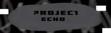 Project Echo hero image