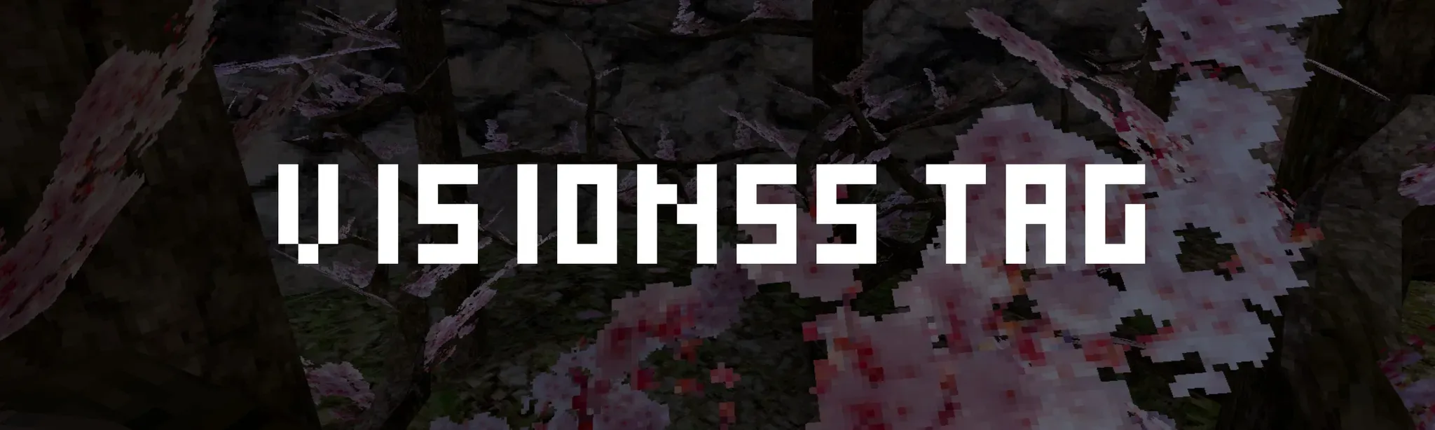 Visionss Tag