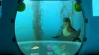 DIVE: Journey through California's MPA screenshot 5