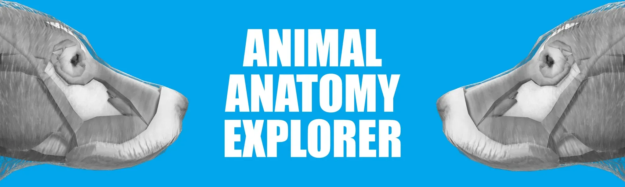 Animal Anatomy Explorer