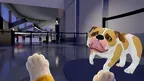 Airport Security Dog screenshot 3