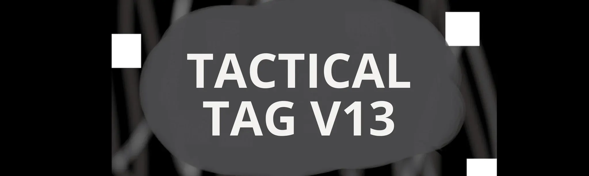 TACTICAL TAG V13