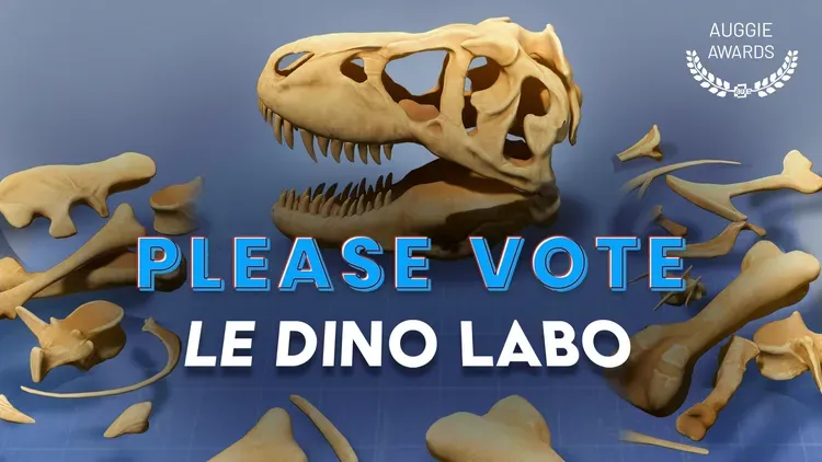 Developer update image for 🏆 Vote for Le Dino Labo at the Auggie Awards!