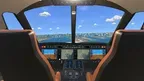 Flight Simulator Tokyo screenshot 3