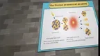 High school - Nuclear power screenshot 2