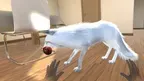Mypuppy:ArcticFox screenshot 0