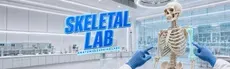 Anatomy Learning Labs: Skeletal Lab hero image