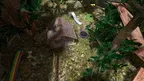 Project Flammable screenshot 4