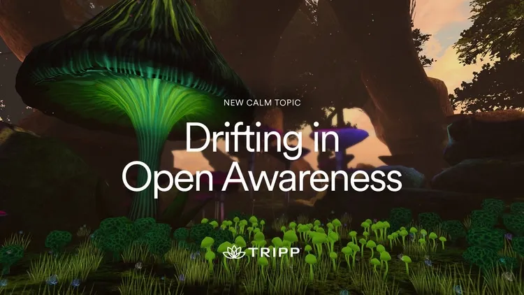 Developer update image for What's New In Calm?