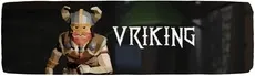 VRIKING hero image