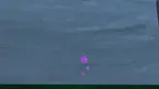 Neyx Tag (Remake is out now, servers are being shut down 7/2/2023) screenshot 3