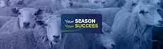Your Season Your Success hero image
