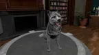 Feartherapy screenshot 2