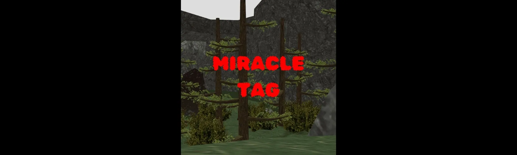 Miracle Tag