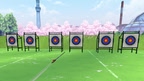 Archery Pro screenshot 2