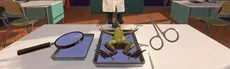 Dissection Simulator: Frog Edition hero image