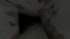 Owens Fun Capuchin screenshot 1