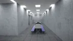 Scary Bаboon screenshot 0
