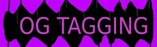 OG Tagging hero image