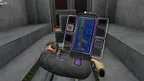 Hot Dogs, Horseshoes & Hand Grenades 2 screenshot 5