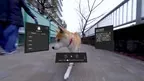 VR SQUARE -5G LAB screenshot 5