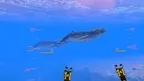 The Great Ocean screenshot 4
