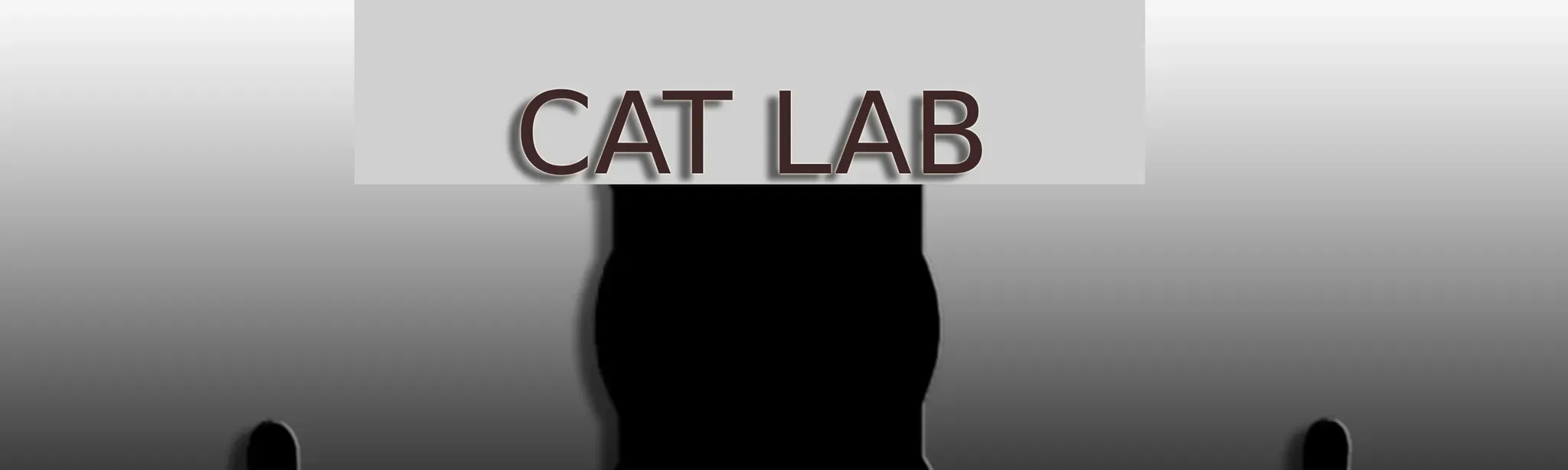 Cat Lab